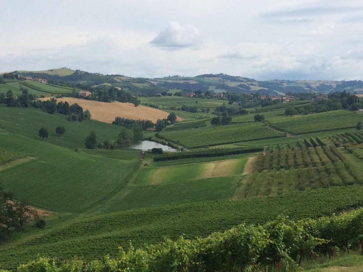 Il Giardino B&B Castelvetro di Modena Kültér fotó