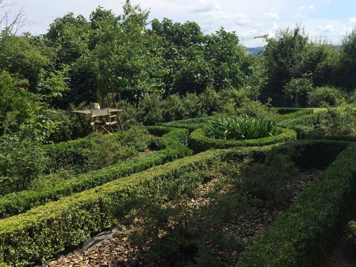 Il Giardino B&B Castelvetro di Modena Kültér fotó