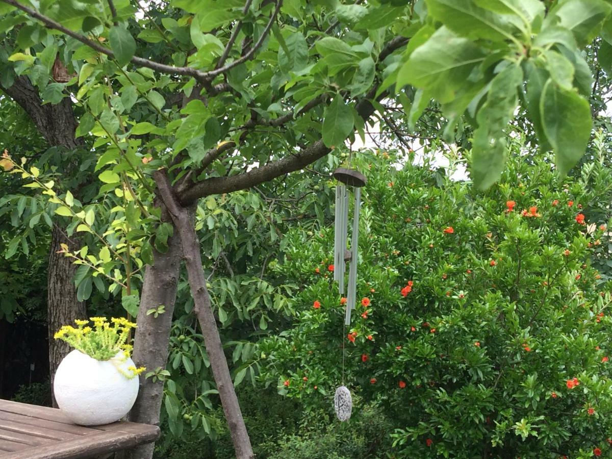 Il Giardino B&B Castelvetro di Modena Kültér fotó