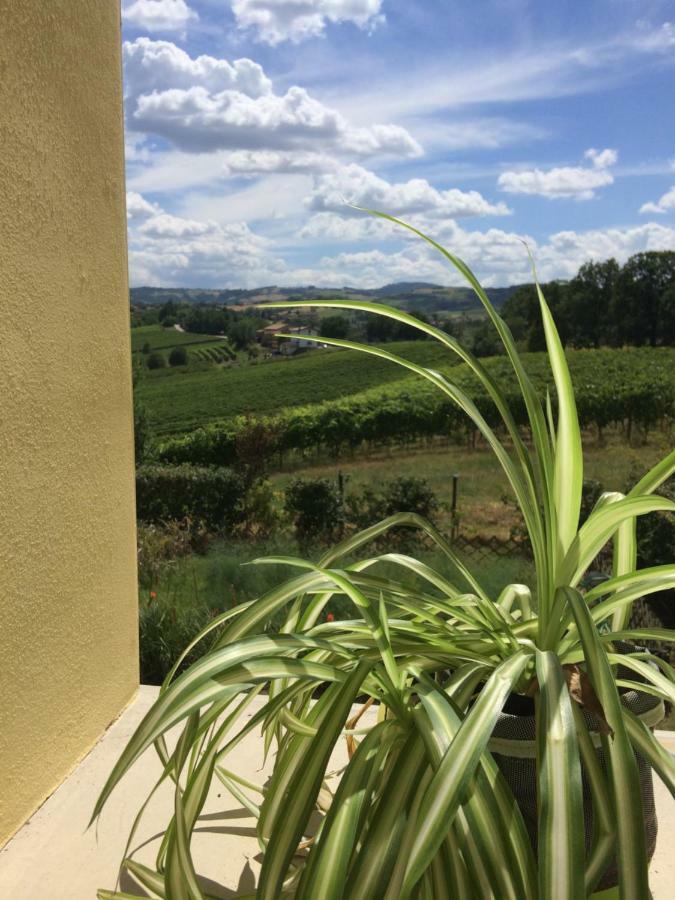Il Giardino B&B Castelvetro di Modena Kültér fotó