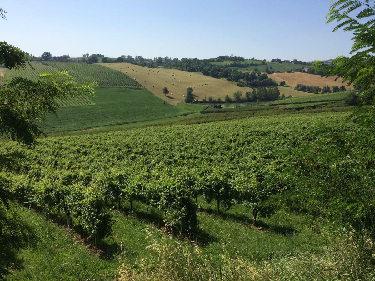 Il Giardino B&B Castelvetro di Modena Kültér fotó