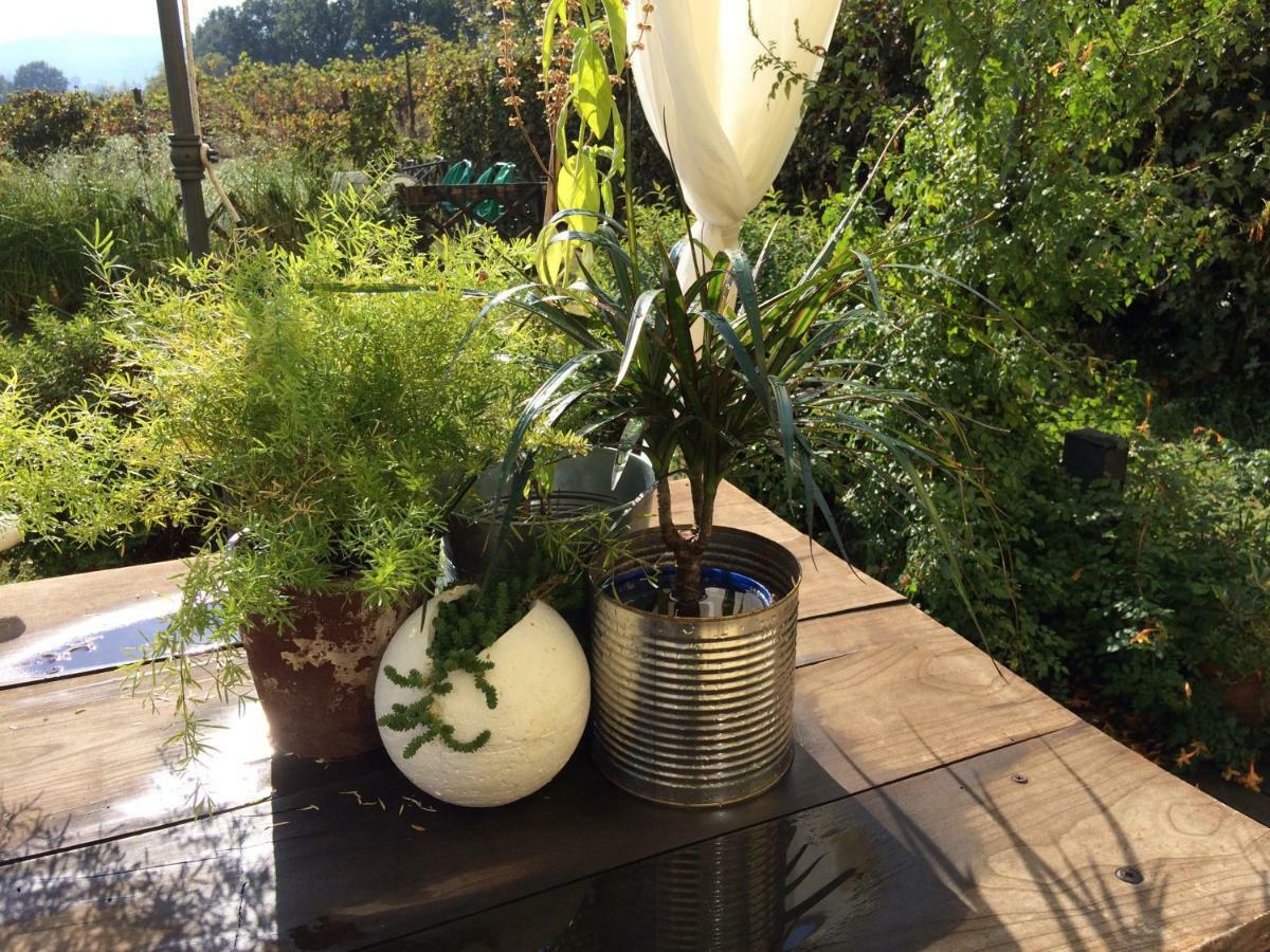 Il Giardino B&B Castelvetro di Modena Kültér fotó