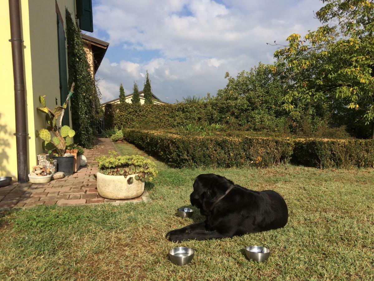 Il Giardino B&B Castelvetro di Modena Kültér fotó