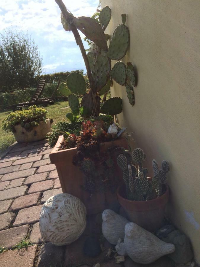 Il Giardino B&B Castelvetro di Modena Kültér fotó