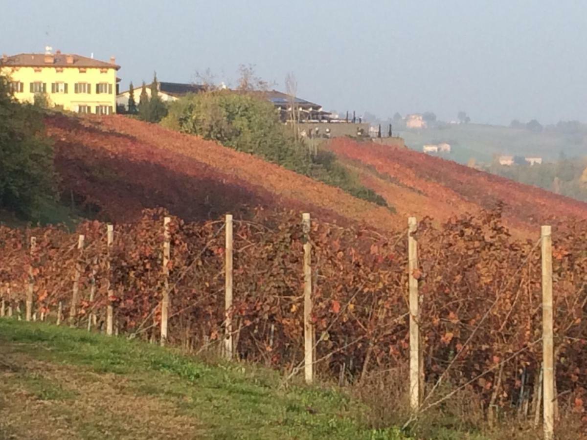Il Giardino B&B Castelvetro di Modena Kültér fotó